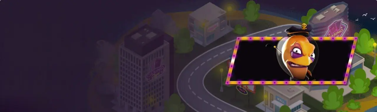 PlayAmo Customer Support Services